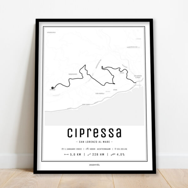 Cipressa