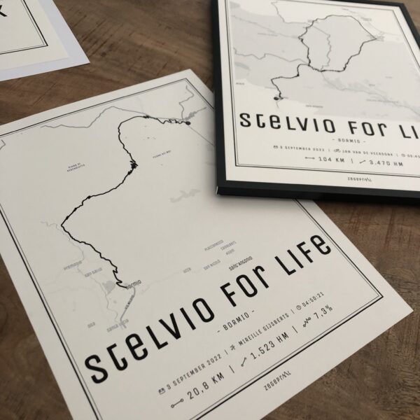 Stelvio for Life (wandelen) - Afbeelding 3