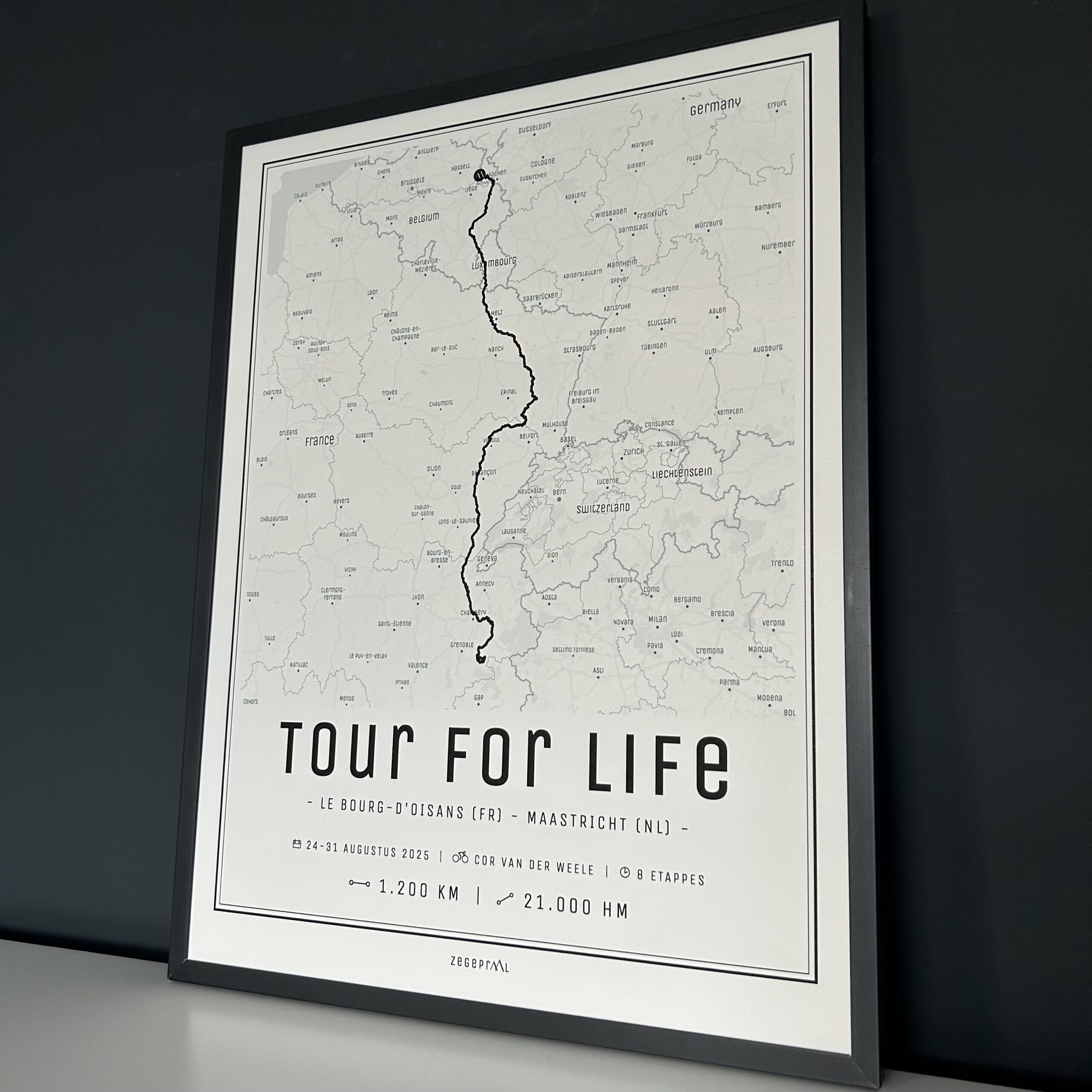 Tour for Life (2025) - Image 2